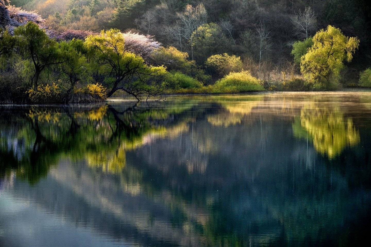 Spring morning light. Автор: KIM SUK EUN , KIM SUK EUN