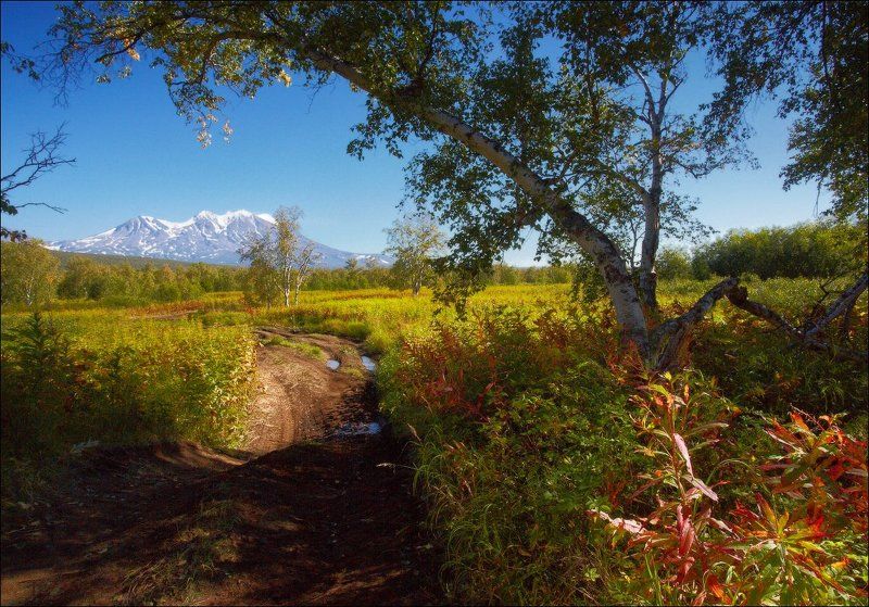 Дорога в Налычево. Камчатка.photo preview