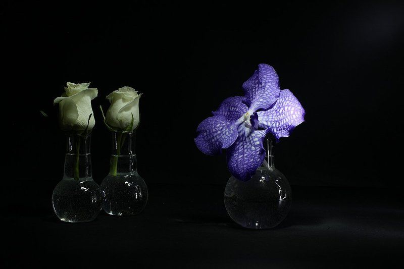 Трудный выборphoto preview