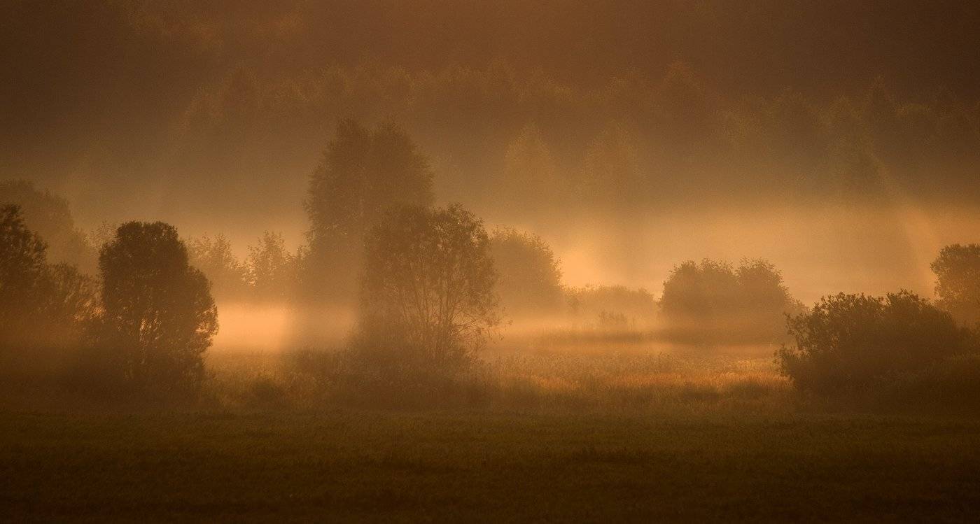 , Владимир Перепечаев