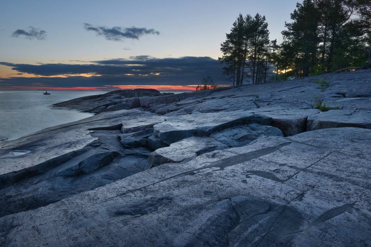 Что-то осетринки захотелось.... Автор: Максим Евдокимов , Максим Евдокимов