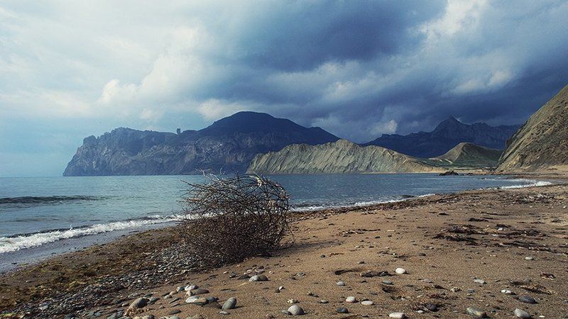 Dirty pawsphoto preview