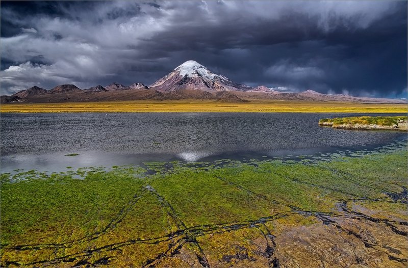 Про следыphoto preview