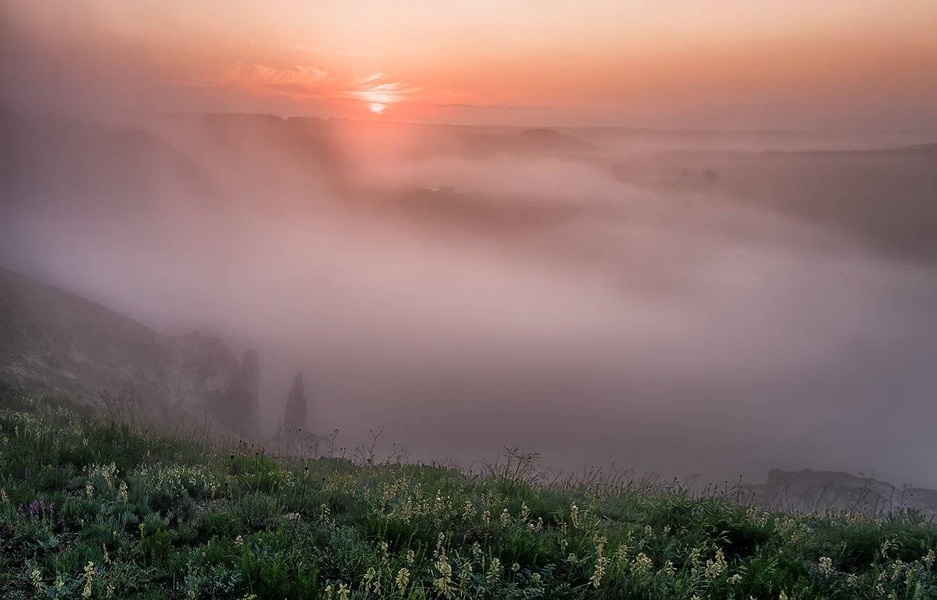 Про весну и про туман .... Автор: Игорь Мелекесцев , Игорь Мелекесцев