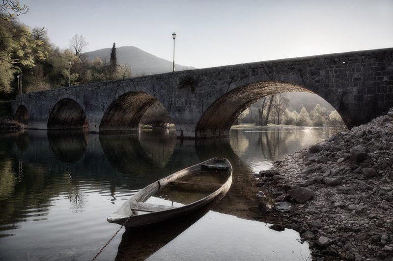 Still lifephoto preview