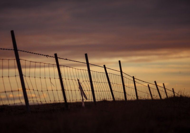 ориентир фото превью