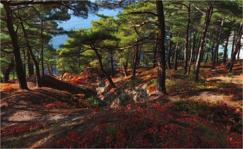 Осень в Голубой безднеphoto preview