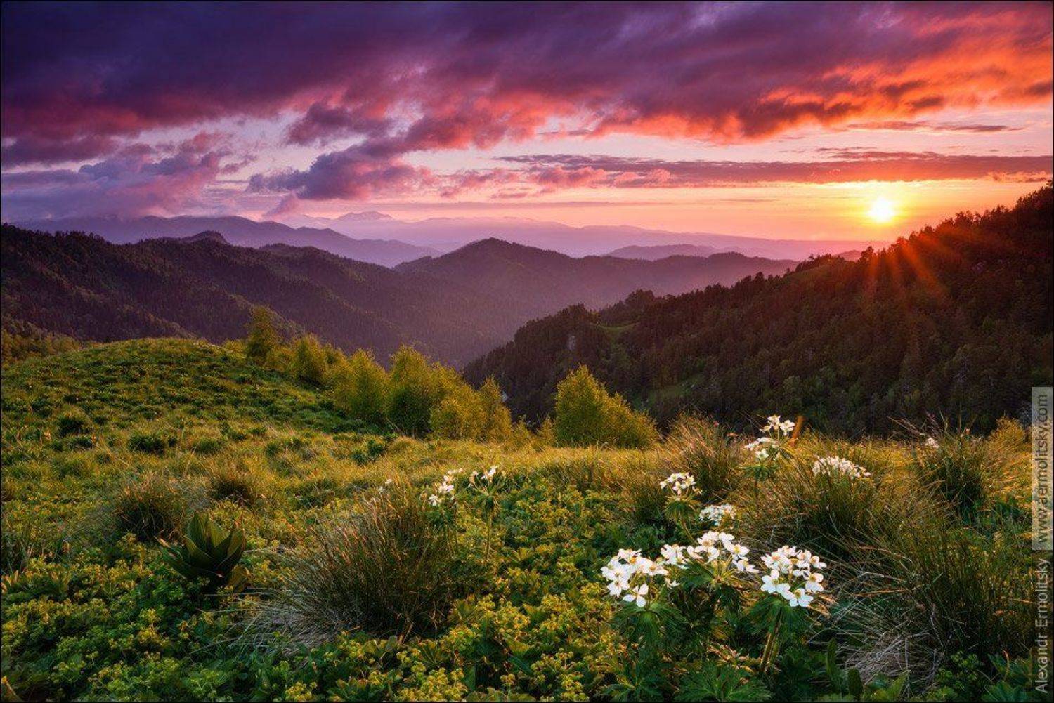 , Александр Ермолицкий