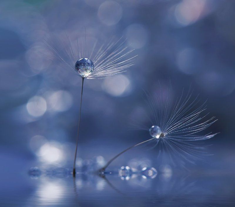 ``.```.``photo preview