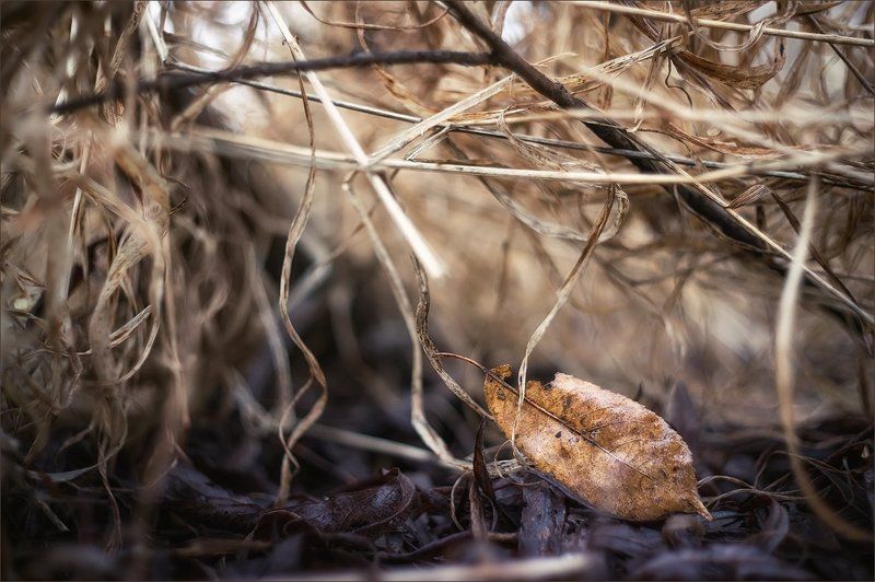 Апрельскоеphoto preview