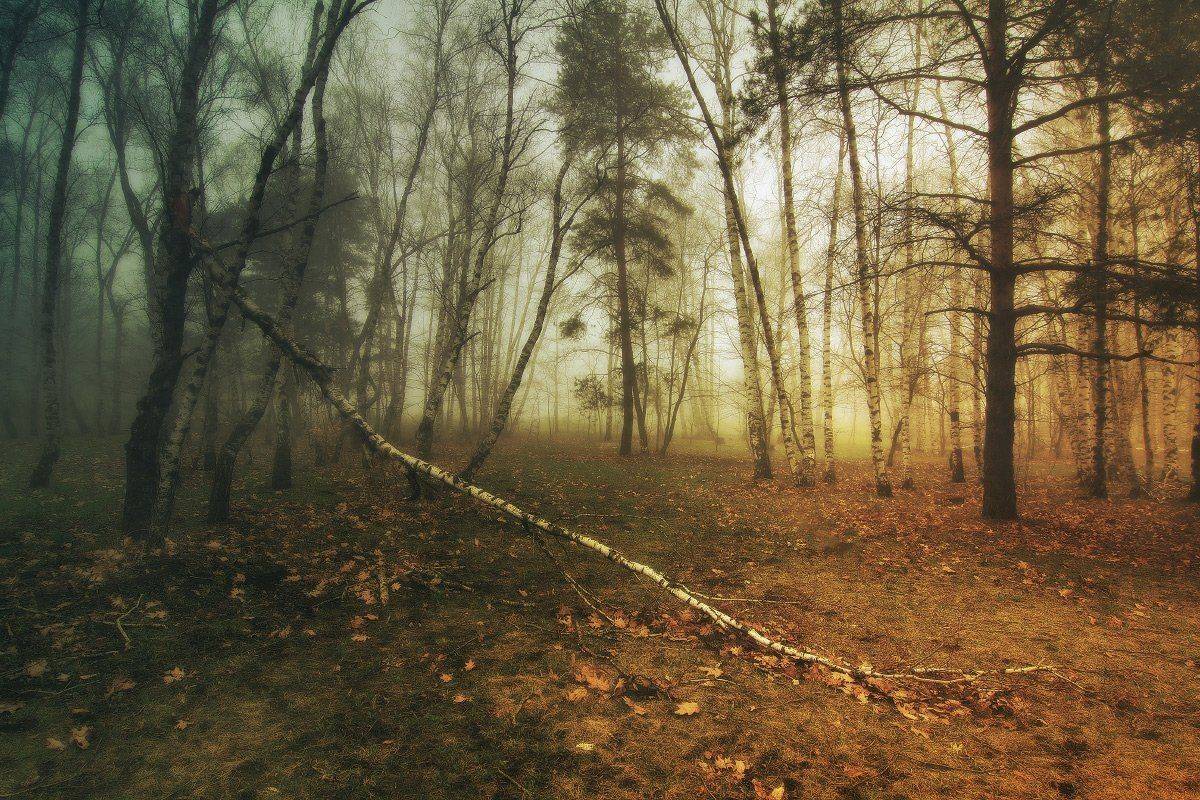 ***. Автор: Михаил Пилипенко , Михаил Пилипенко