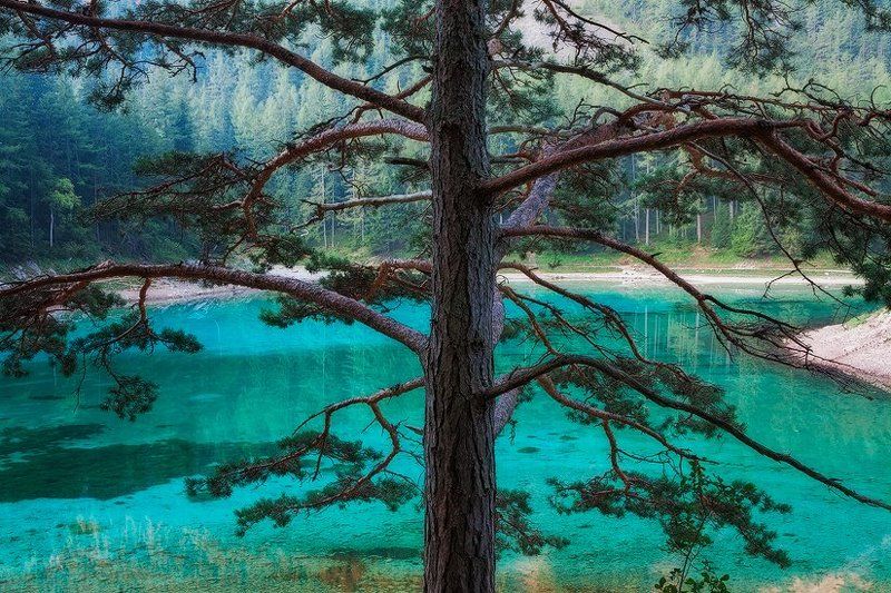 Jewel of the mountainphoto preview