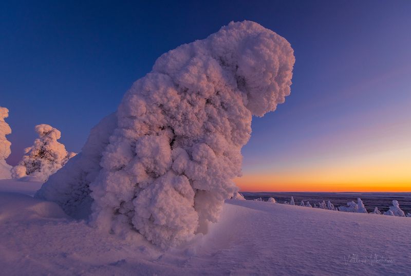 Долина динозавров фото превью