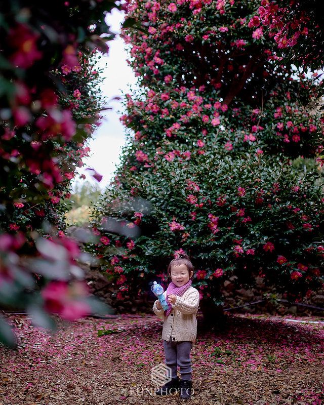 cuty babyphoto preview