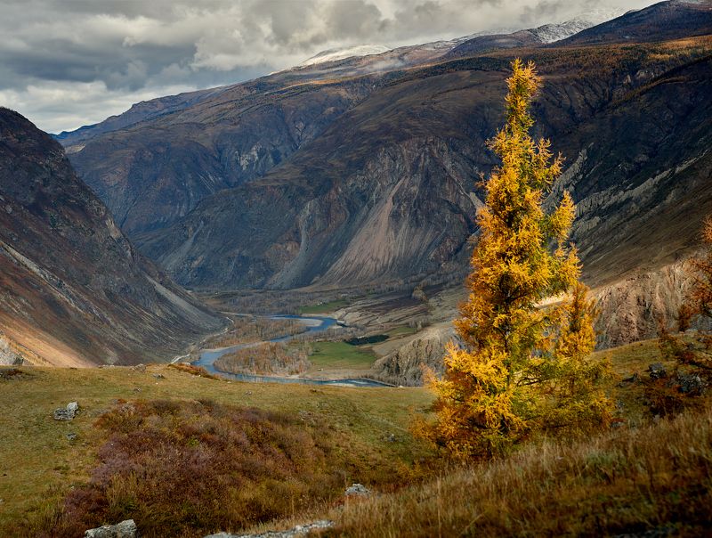 алтай, altay Алтай фото превью