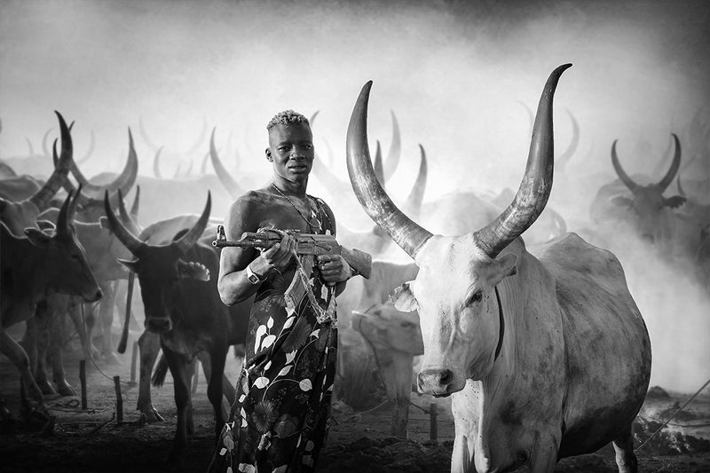 child,people,children,kids,boy,kid,africa,person,people,urban,woman,light,low key,low-key,girl,dark,fog,shadow,mundari,dinka,southsudan,sudan,tribal,tribe,africa,afrika,horns,sunset,sunrise,war,cattle,animal,nature,horn,wild,horned,cow,rural,south_sudan,c Mundari AK47photo preview