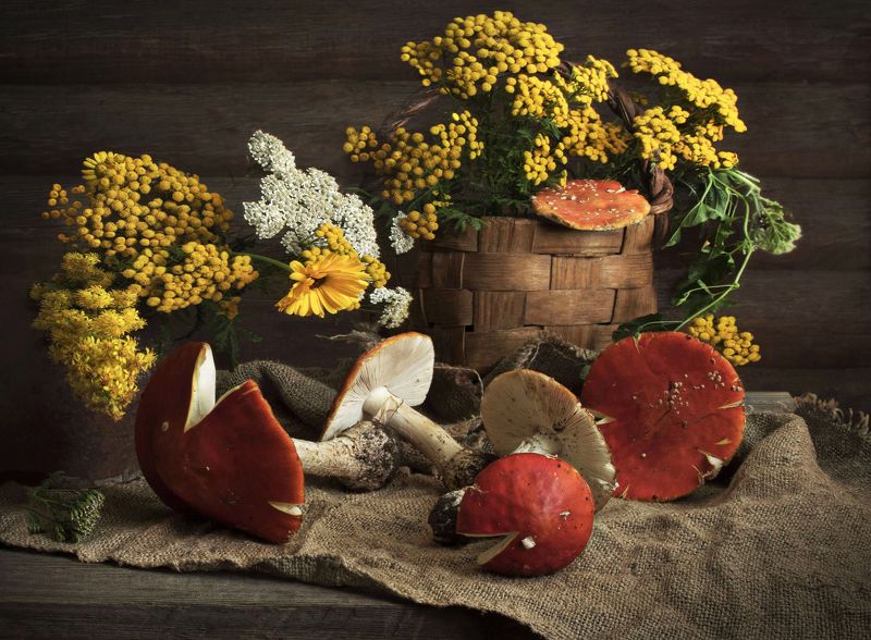 Мухоморыphoto preview