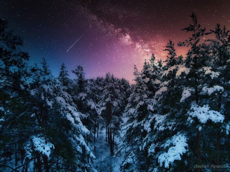 Полет над зимним лесомphoto preview