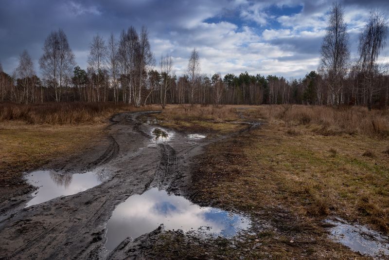 луг зима январь лужи крылья ангела Ангелы сходят с Небесphoto preview