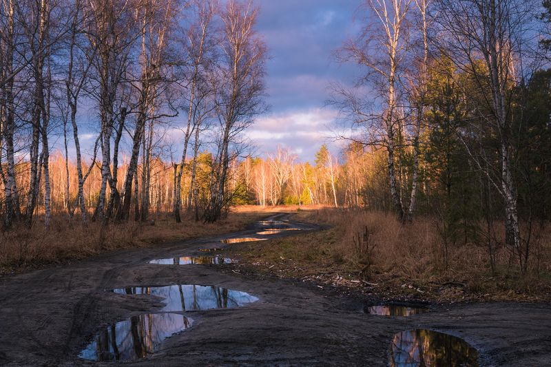 луг, зима, январь, лужи, крылья, ангела, тучи, закат Небо цвета индигоphoto preview