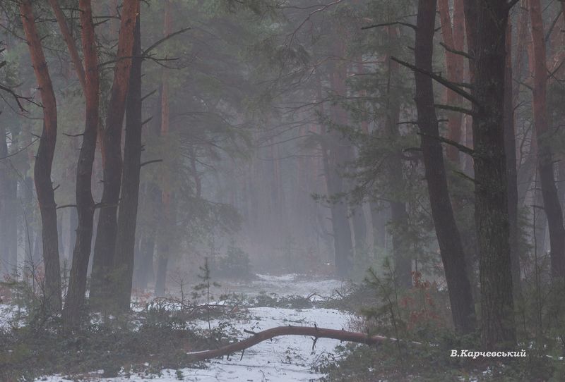 Настроение января....photo preview