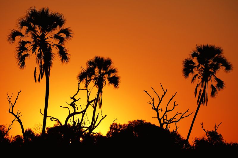 One moment before sunrise фото превью