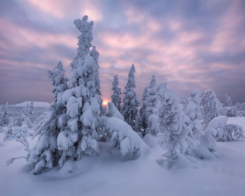 зима, урал, север, снег, ветер, сугроб, гух, главный уральский хребет, рассвет Сказка северного Уралаphoto preview