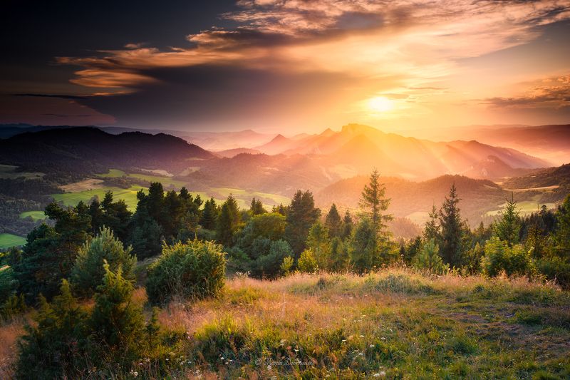 Poland, landscape, mountainscape, Carpathians, Pieniny, Trzy Korony, Sokolica, Wysoki Wierch, Płaśnie, mountains, nature, sky, golden hour, sunset, sunrays,outdoors, trees, Nikon, Tullusion Behind the Stormphoto preview
