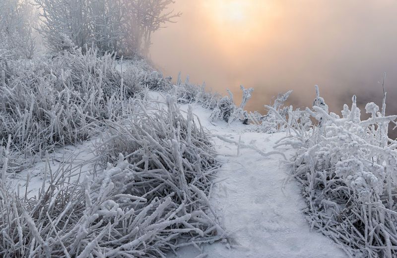 Тропинка к солнцу.photo preview