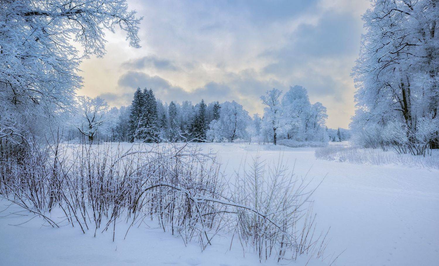 В снежном плену. Автор: Скороходов Константин павловск зима январь мороз снег, Скороходов Константин