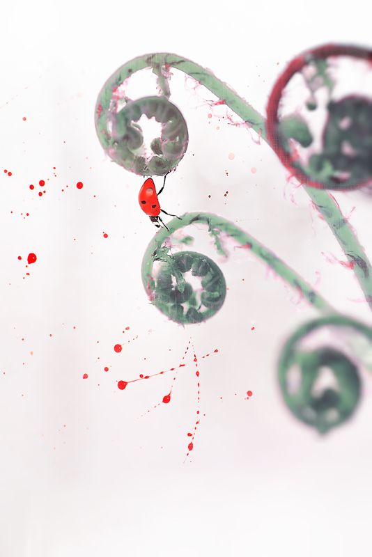 божья коровка, макрофотографии, макро, Раскрашу весь мир????photo preview