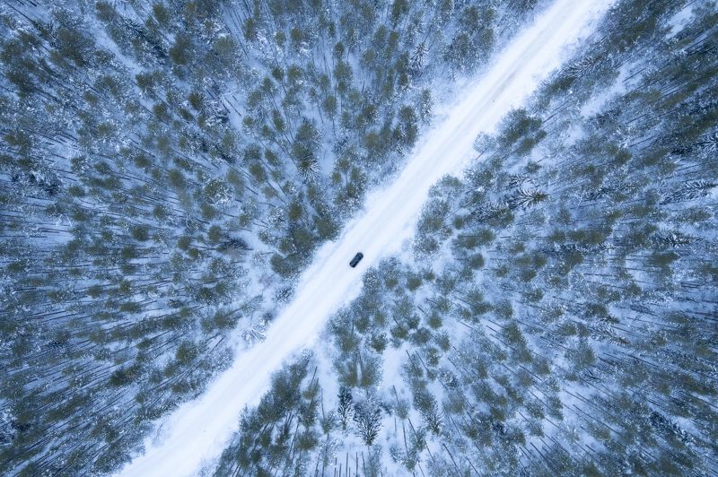 Лесными дорогамиphoto preview