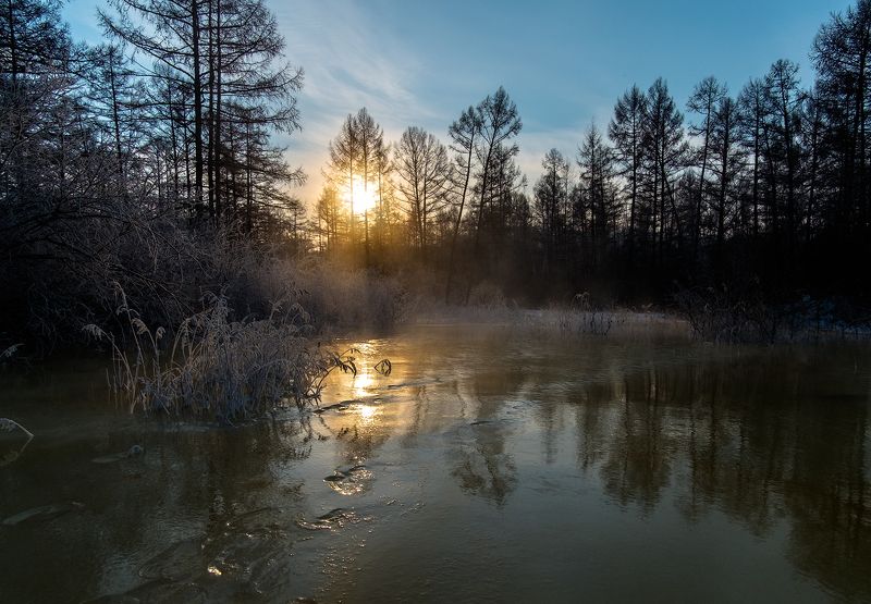 Золотая наледьphoto preview