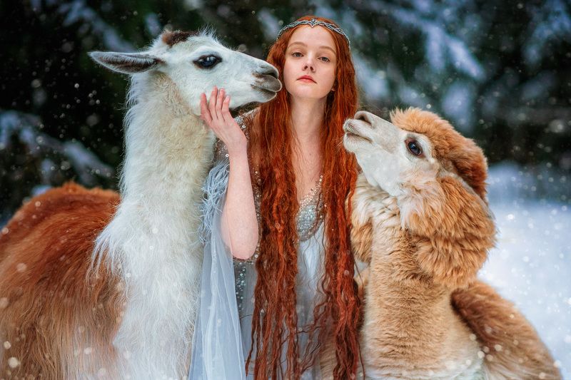 фото превью