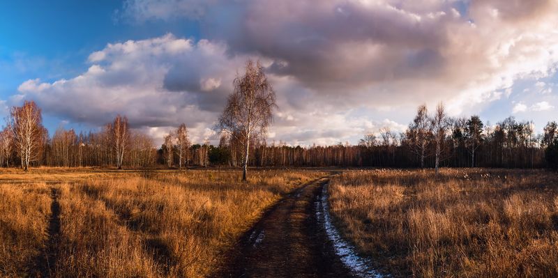 луг зима январь снежные тучи Когда январь весною пахнетphoto preview