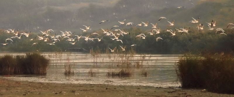 одесса ХАДЖИБЕЙphoto preview