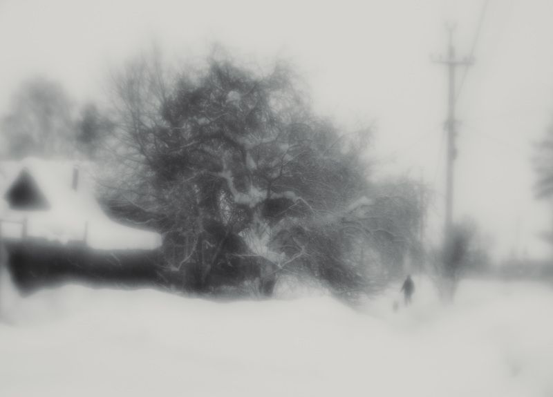 Белая тишинаphoto preview