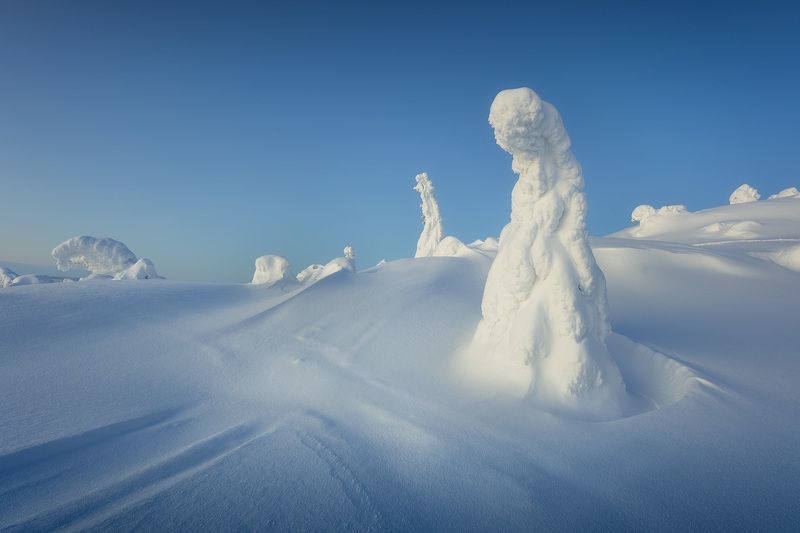 сопка, север, кольский, зима, кандалакша Сопка Волосянаяphoto preview