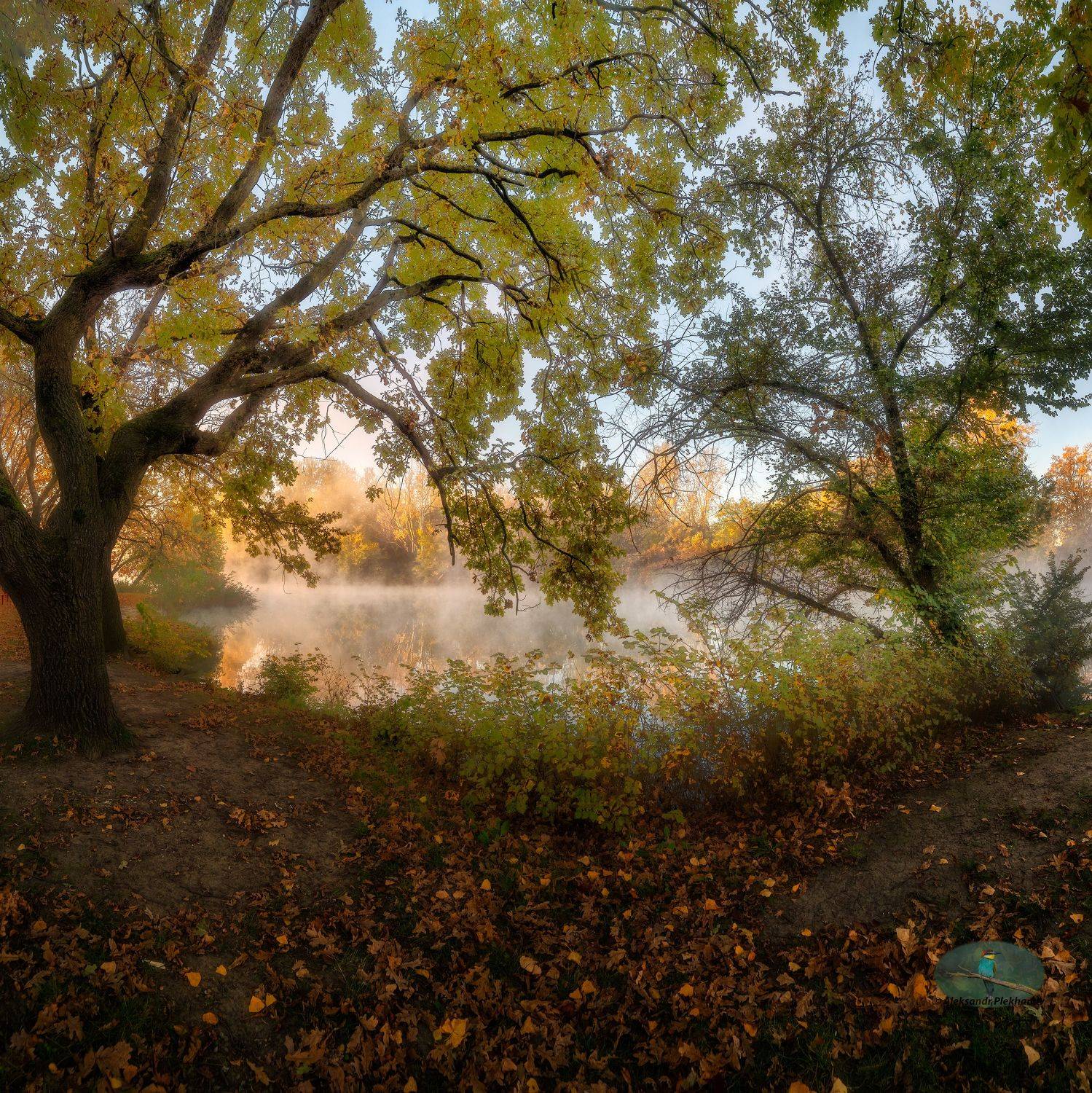 , Plekhanov Alexander