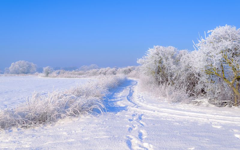 Winter 2021, landscape, nature, dirt road, December, sky, snow, frost, morning, Landscape with a dirt road on a frosty winter dayphoto preview