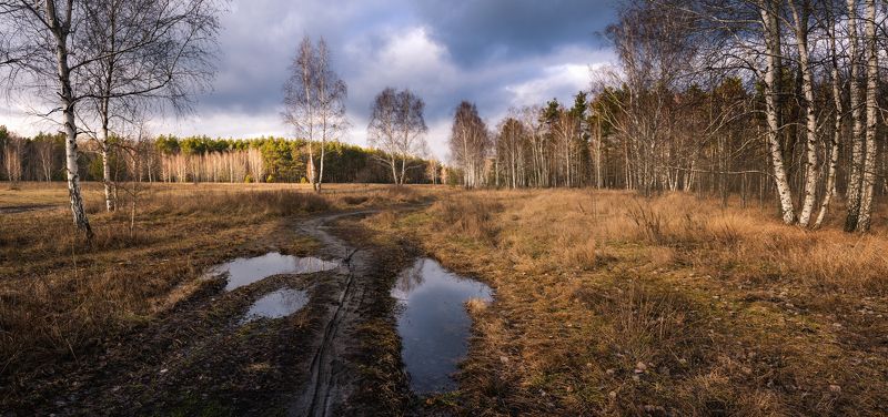 луг зима январь лужи тучи Апрель в январеphoto preview
