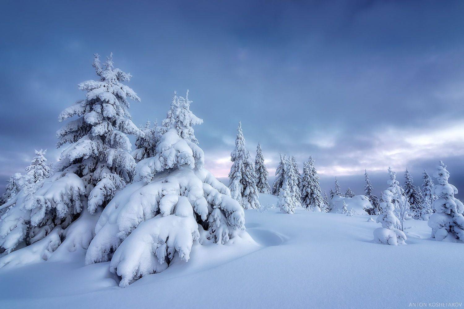 урал горы лес пейзаж зима, Антон Кошетаров