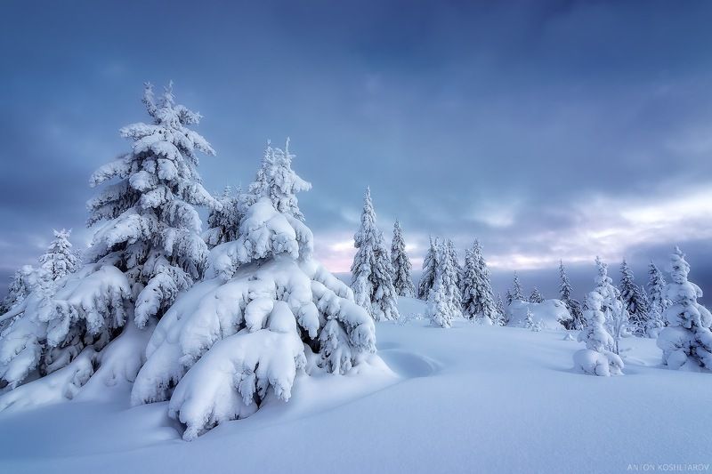 урал горы лес пейзаж зима Зимняя прогулкаphoto preview