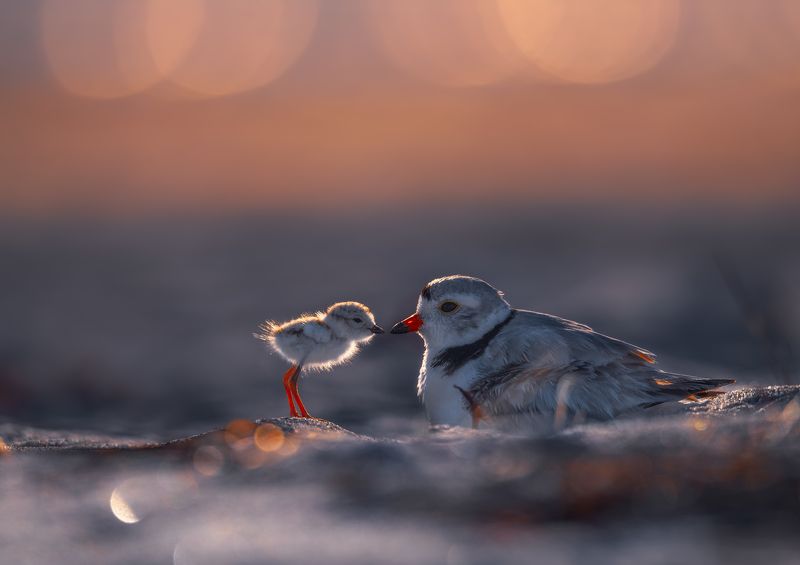 ❤️❤️photo preview