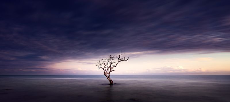 solitudephoto preview