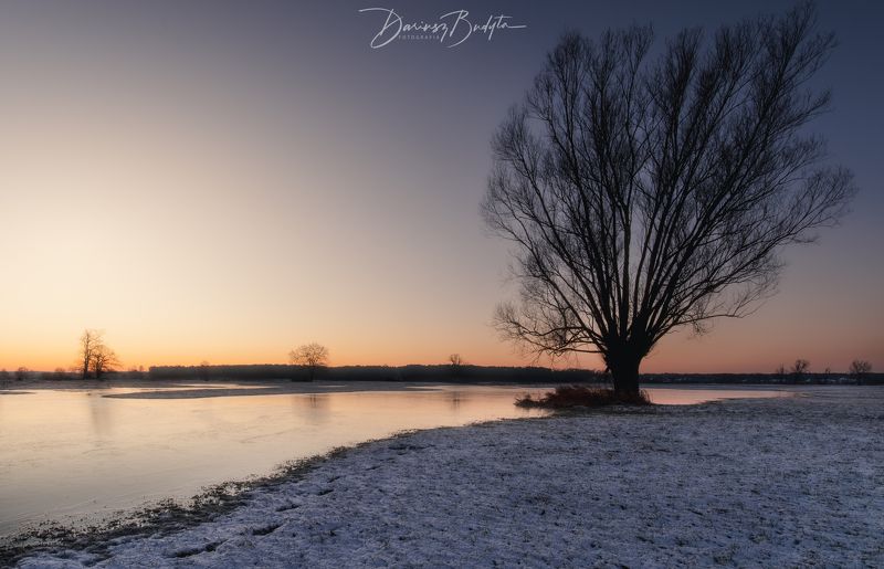 Winter treephoto preview