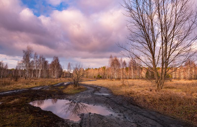 зима, луг, январь, закат, тучи Весна идет сторонкой, да где ж она сама? (А.А. Блок)photo preview