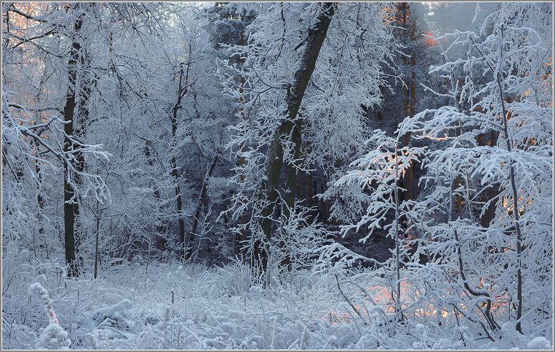 Морозное утро 3photo preview