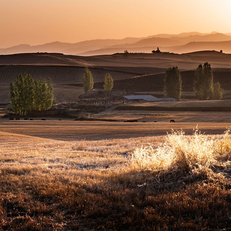 江布拉克 中国新疆  Цзян Булак китайский синьцзянphoto preview