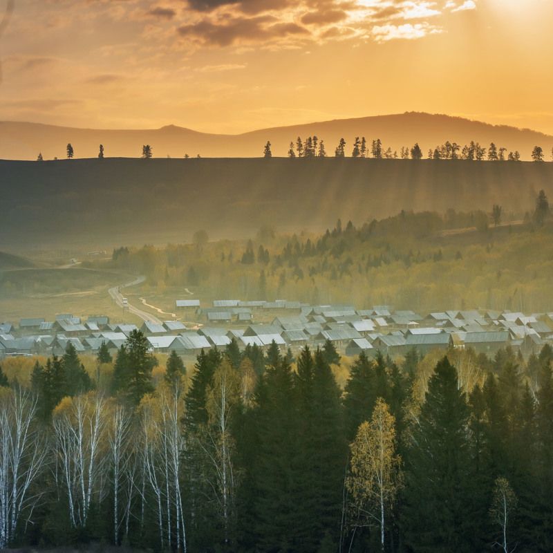 гумгумура, китайphoto preview